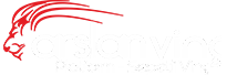 Arslan Platform Vinç